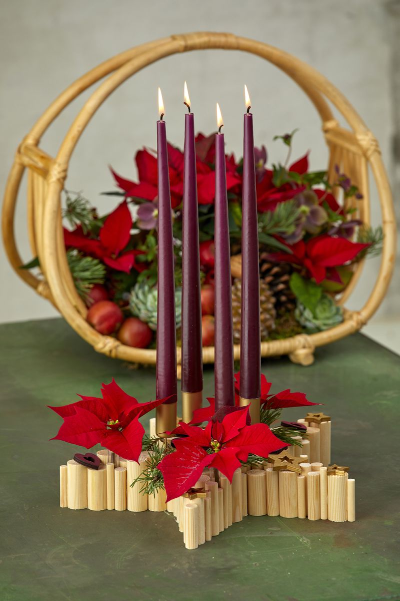 2022_poinsettia_02120_DIY_Wooden_Star_for_Advent_05.jpg