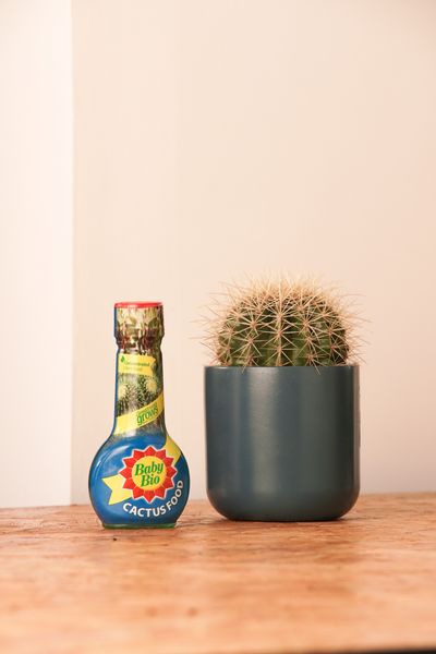 Baby Bio® Cactus Food