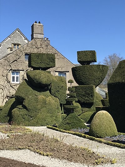 Topiary at Levens Hall, Cumbria, UK