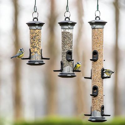 Apollo Seed Feeder.webp