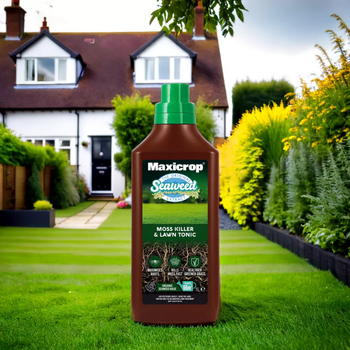 Moss Killer and Lawn Tonic