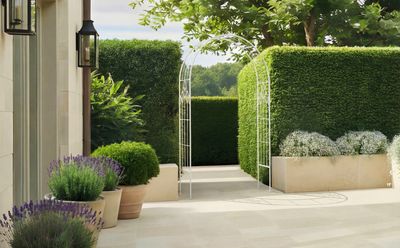 Antique White Leaf Design Rustic Metal Garden Arch