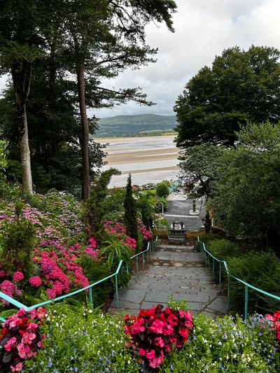 Portmeirion Motorhome Park 1.jpg