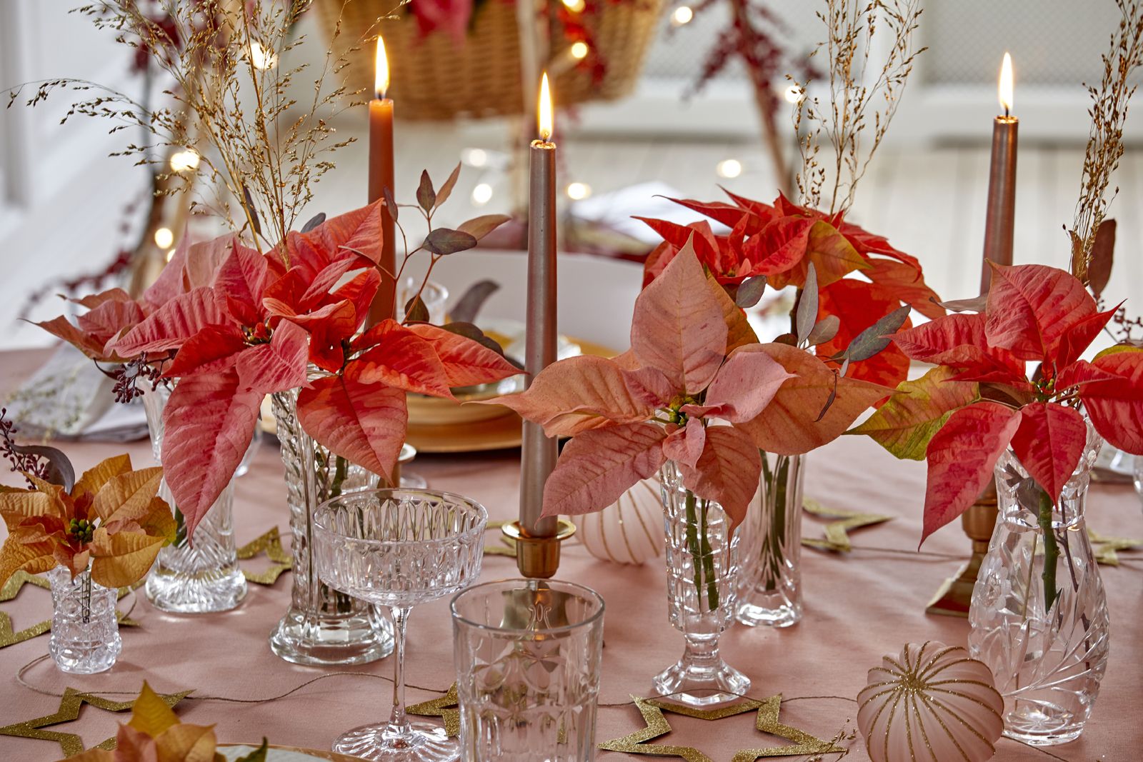 2022_poinsettia_04000_Christmas_Fairy_Tale_03.jpg