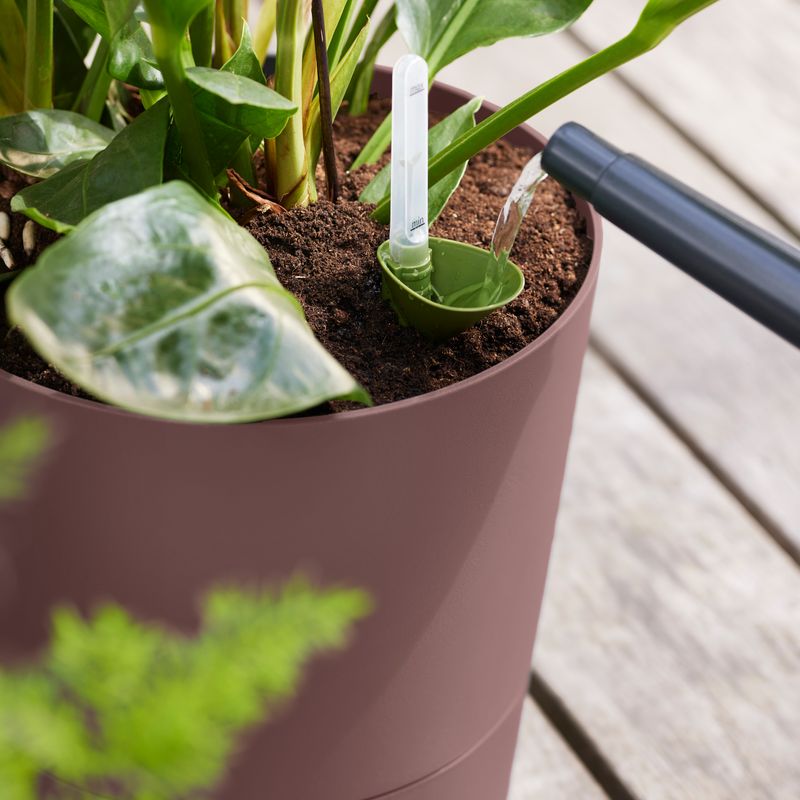 greensense aqua care round