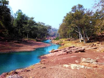 Satpura National Park_dreamstimem65697660 Wild Central India.jpg