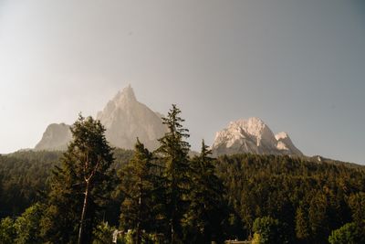 _7810114.jpg