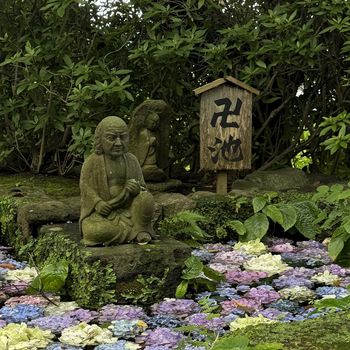 47741-1600x1100.jpg