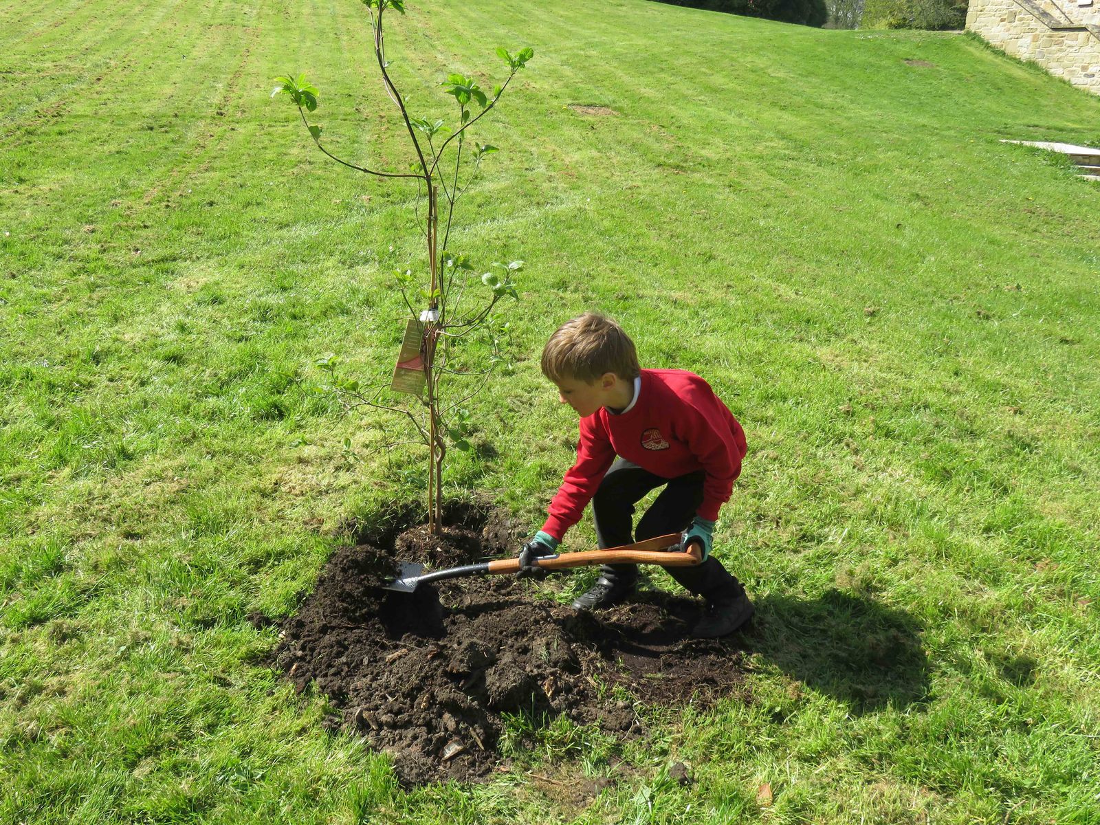 A pupil energetically sets about planting their tree at Langley Castle Hotel.