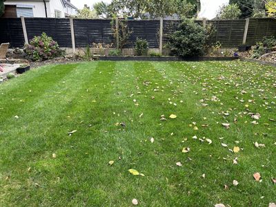 The Relentless Gardener