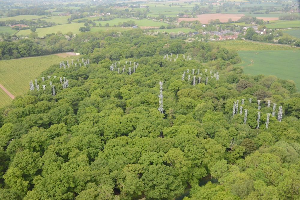 Pic 1 - The BIFoR FACE experiment facility located in a Staffordshire Woodland (Image credit University of Birmingham).JPG