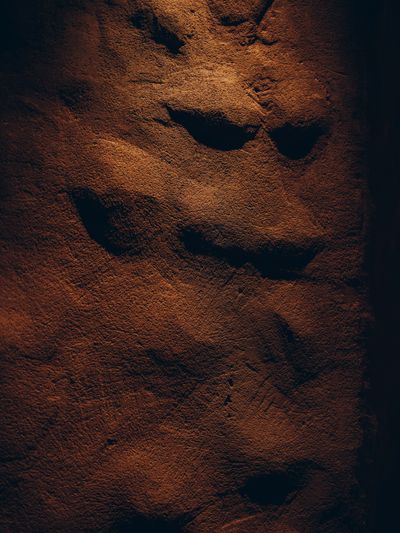 YERA-Details-1©Charlotte Lapalus-FORESTIS (8).jpg