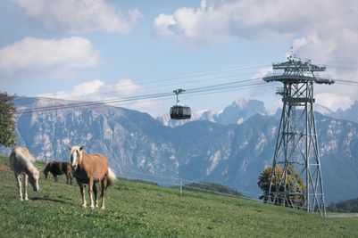 Seilbahn und Pferde©Frieder Blickle.jpg