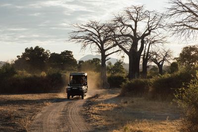 P_Asilia Lodges & Camps_Tanzania_Ruaha National Park 01_Jabali Ridge_Activities_Game Drive_1.jpg