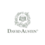 David+Austin+Logo+2.png