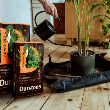 Houseplant_POS_Lifestyle-Image_2.jpg