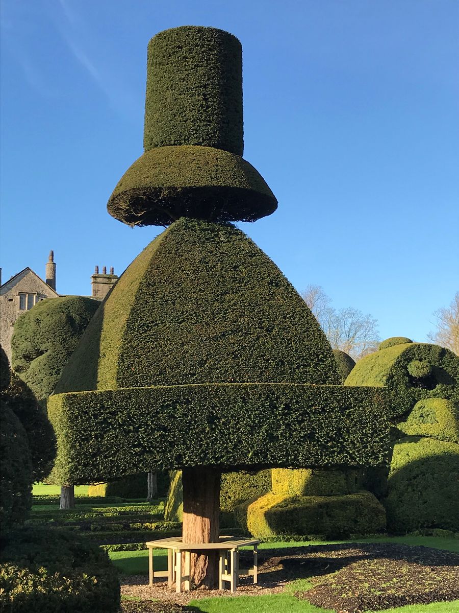 Topiary at Levens Hall, Cumbria, UK