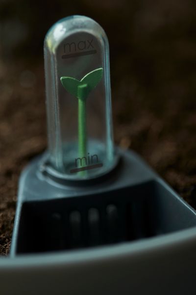 self-watering insert