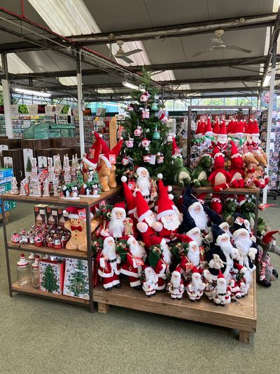 Hillier Garden Centres and Nurseries - Christmas 2024