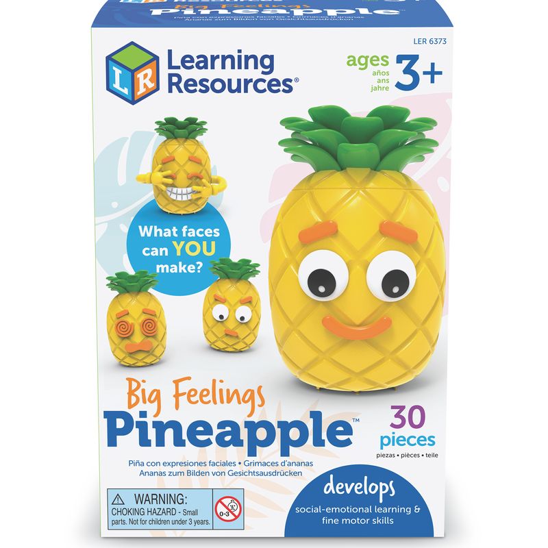 Big Feelings Pineapple