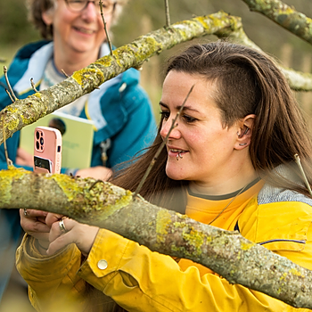 Trees for Cities course participant Tess Agnew learns how to identify different tree species.jpg