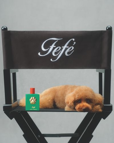 Dolce&Gabbana Fefé