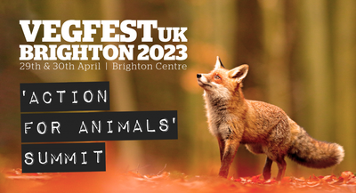 VegfestUK 