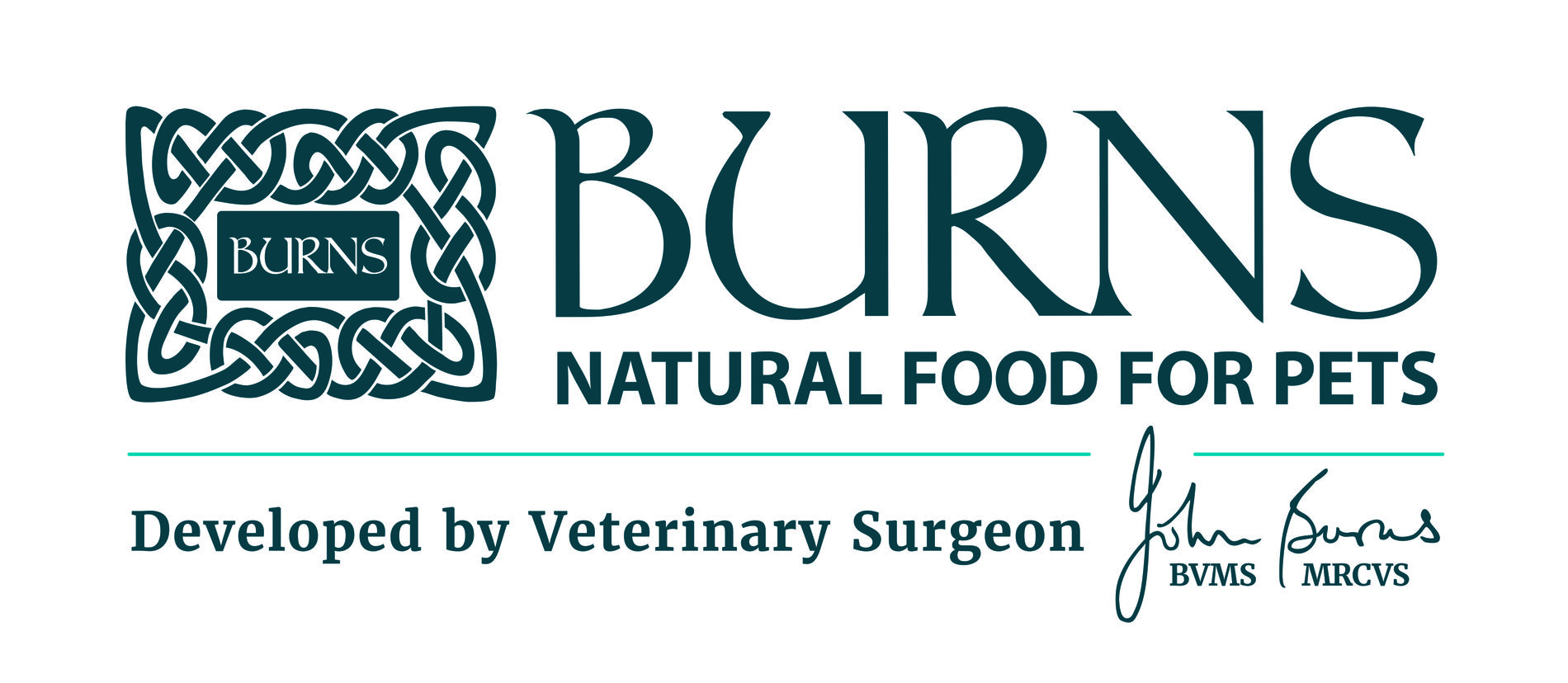 Burns Logo - Developed by.jpg
