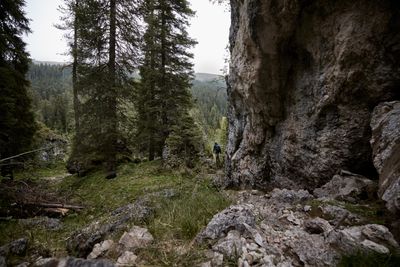 FORESTIS-Activities-17.jpg