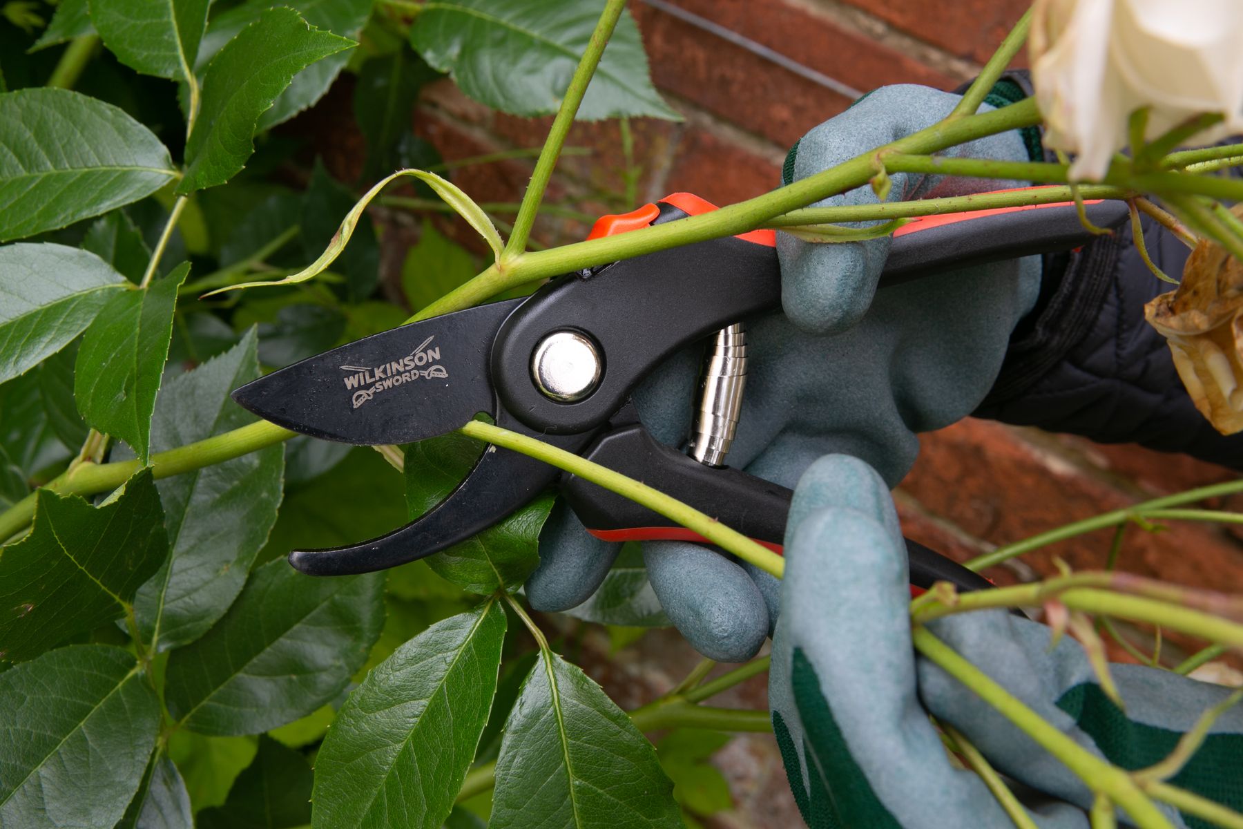Bypass Pruners