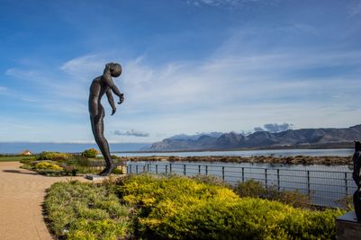 Benguela-Cove-Wine-Estate.jpg