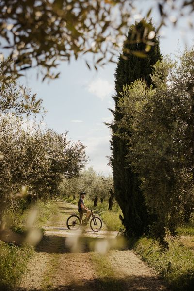 Bike_AlexMoling_CapeOfSenses-4.jpg