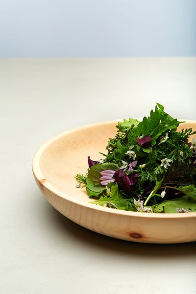 FORESTIS-Food-Salat.jpg