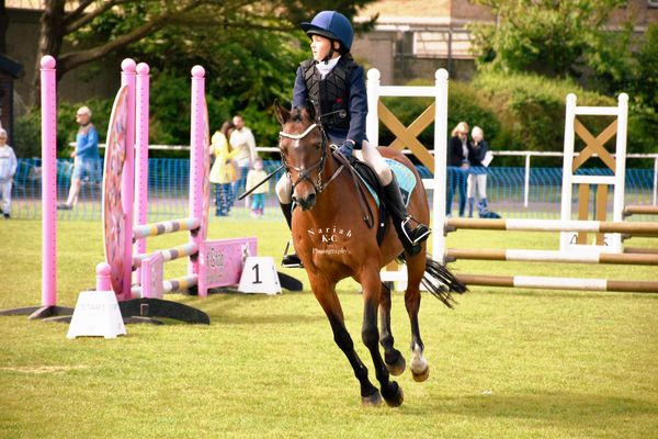 Show Jumping Arena