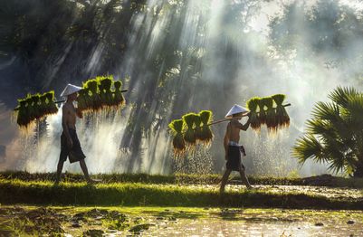 Backroads of Indochina_dreamstimel156928208.jpg