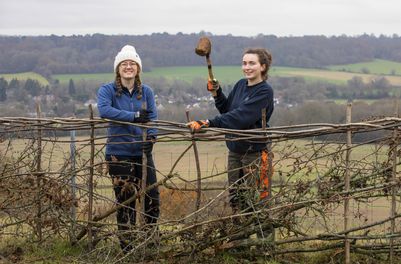 Surrey Wildlife Trust team & volunteers                                                                        