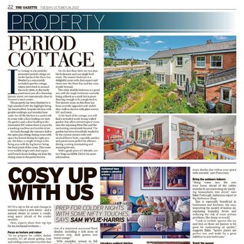Tiverton Gazette Oct-23 Pg20 Expert Comment.jpg