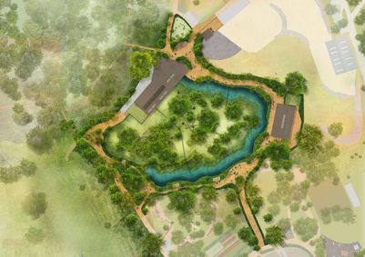 GA African Forest Illustrative Plan - web.jpg