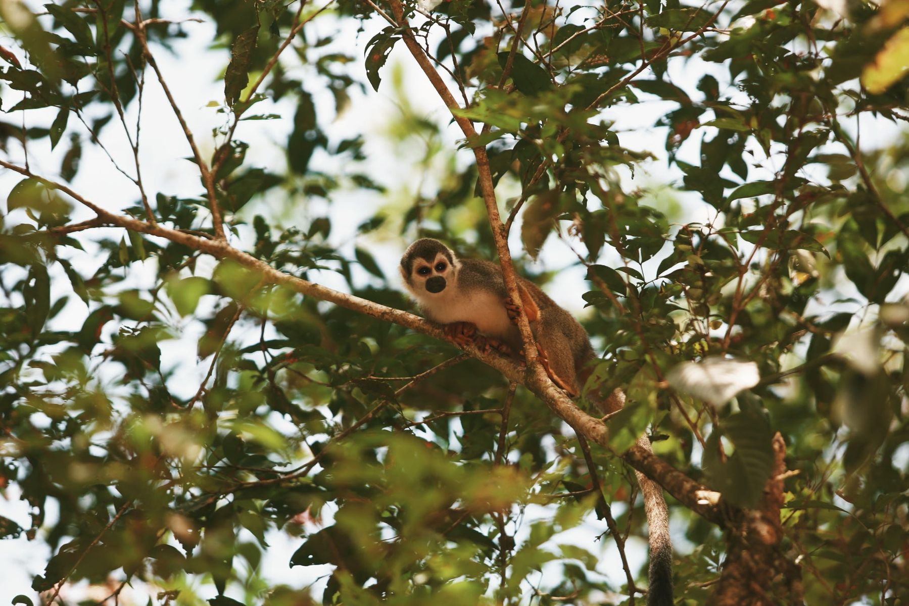 Plotpackers Ecuador.jpg