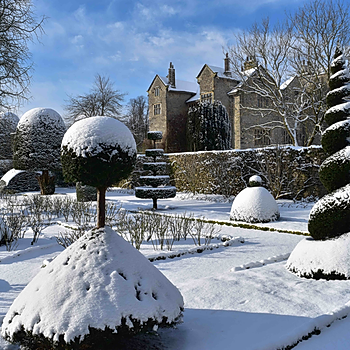 The world's oldest topiary garden at Levens Hall in snowy winter conditions