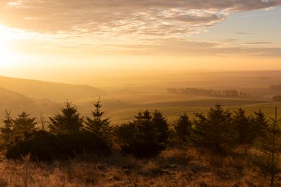 Scottish Borders Lanscapes_Images (19).jpg