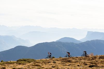 Bike (2).jpg