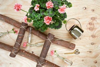 2023_Geraniums_4010_DIY_Ladder_for_Hanging_Flowers_04.jpg