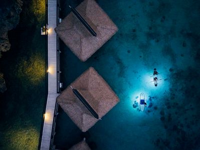 Crystal Lit Kayak & Paddleboard.jpg