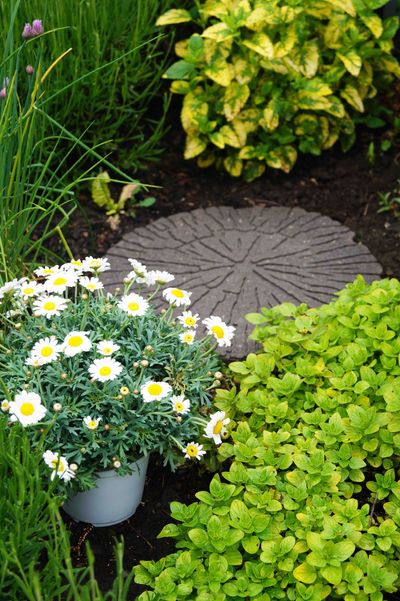 Primeur Cracked Log stepping stone in flower bed.jpg