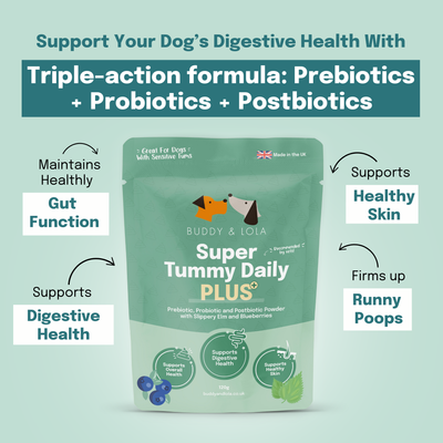 Buddy & Lola, Super Tummy Daily Plus, Pre, Pro, Postbiotics for dogs