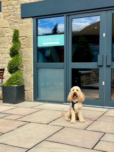 The new pet-friendly Wild Boar Coffee café at Whitemead Forest Park
