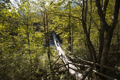 Juliana Trail
