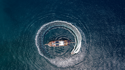 42salamander(1).png