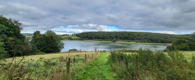 Wimbleball  2.jpg